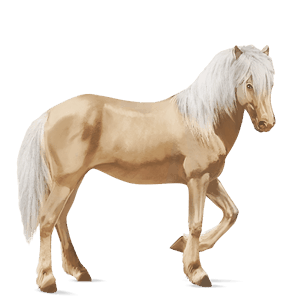 ridehest tennessee walker palomino