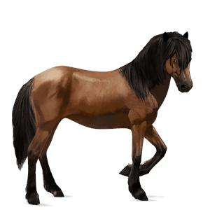 ridehest holstener brun