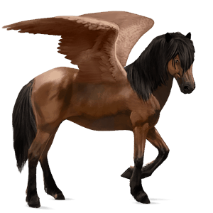 ridepegasus islænder leverrød