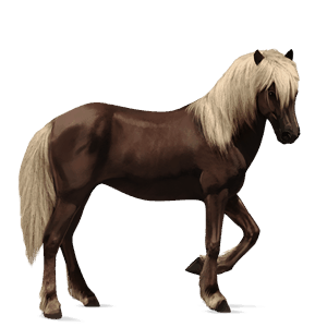 ridehest kirsebærbrun