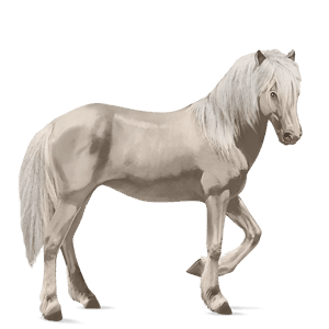 ridehest tennessee walker lysegrå