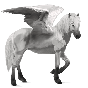 ridepegasus camargue lysegrå