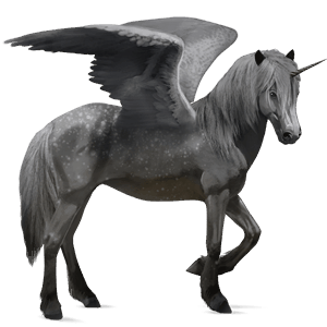 bevinget enhjørningepony  gråskimmel