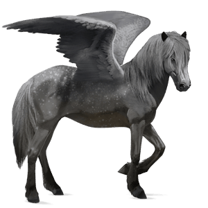 ridepegasus hannoveraner leverrød