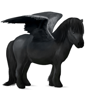 pegasuspony shetlandspony sort