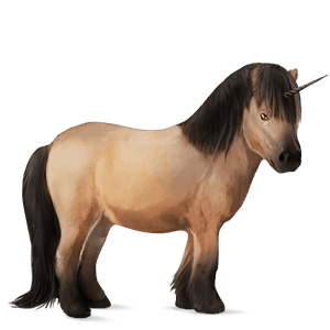 enhjørningepony blakket
