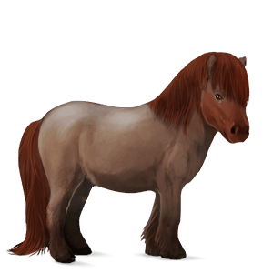 pony rød stikkelhåret