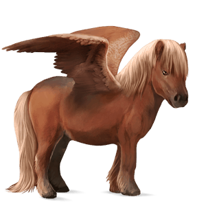 pegasuspony connemara lysegrå