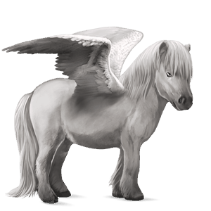 pegasuspony shetlandspony brun