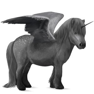 bevinget enhjørningepony  shetlandspony gråskimmel