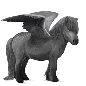 pegasuspony shetlandspony gråskimmel
