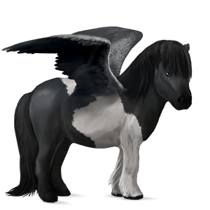 pegasuspony brun