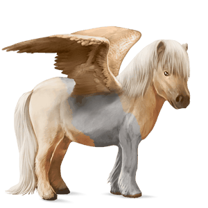 pegasuspony shetlandspony sort