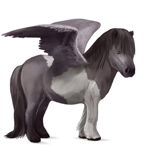 pegasuspony shetlandspony brun