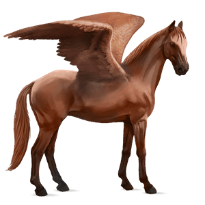 ridepegasus fransk traver rød