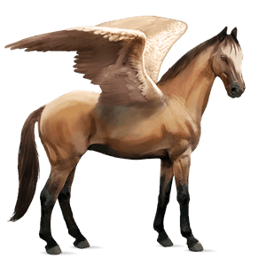 ridepegasus camargue gråskimmel