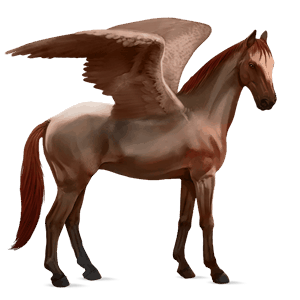 ridepegasus tennessee walker gråskimmel