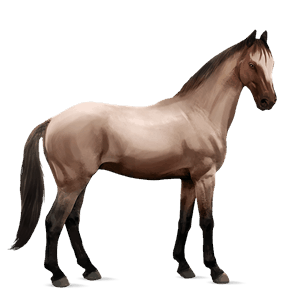 ridehest paint horse brun tobiano