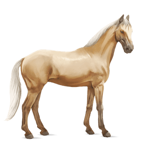ridehest frieser sort