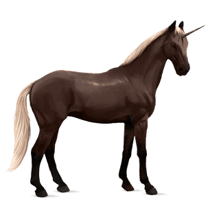 rideenhjørning trakehner leverrød med lys man og hale