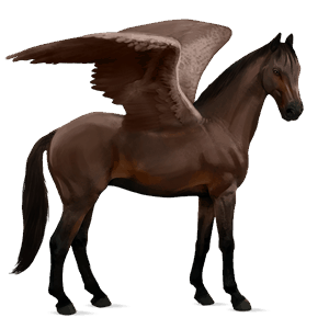 ridepegasus mørkebrun
