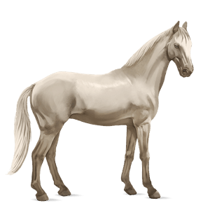 ridehest holstener brun