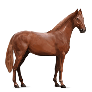 ridehest tennessee walker rød
