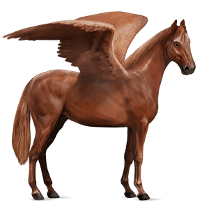 ridepegasus hannoveraner rød