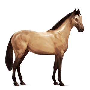 ridehest islænder rød