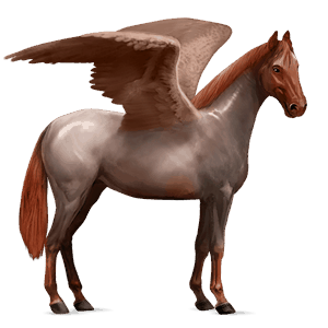 ridepegasus andalusier sort