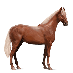ridehest quarter horse rød med lys man og hale