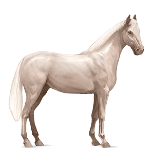 ridehest andalusier brun