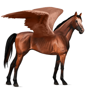 ridepegasus engelsk fuldblod kirsebærbrun