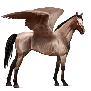 ridepegasus quarter horse skimmel