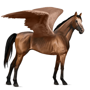 ridepegasus mustang kirsebærbrun