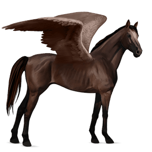 ridepegasus fransk traver mørkebrun
