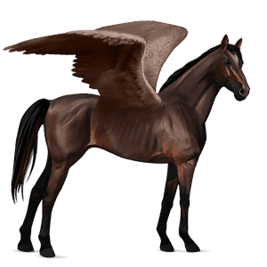 ridepegasus mørkebrun