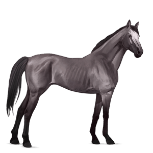 ridehest mustang palomino