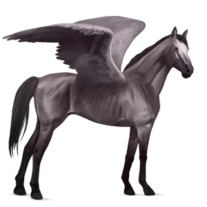 ridepegasus engelsk fuldblod brun