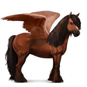ridepegasus akhal-tekiner blakket