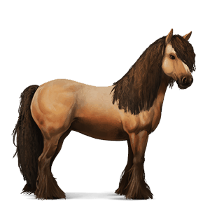 ridehest blakket