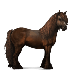 ridehest paint horse blakket tobiano