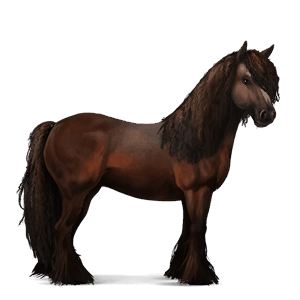 ridehest andalusier lysegrå