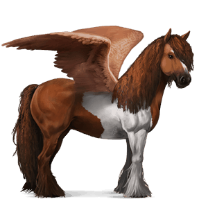 ridepegasus tennessee walker sort