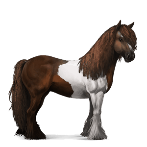 ridehest tinker blakket tobiano