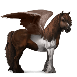 ridepegasus tinker brun tobiano