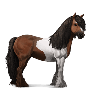 ridehest paint horse brun overo