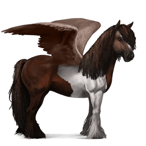 ridepegasus paint horse mørkebrun overo
