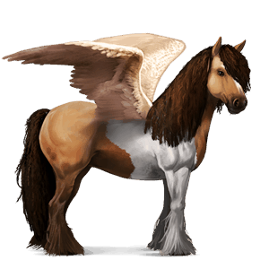 ridepegasus tinker blakket tobiano