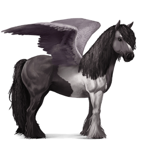 ridepegasus tinker gråskimmel tobiano